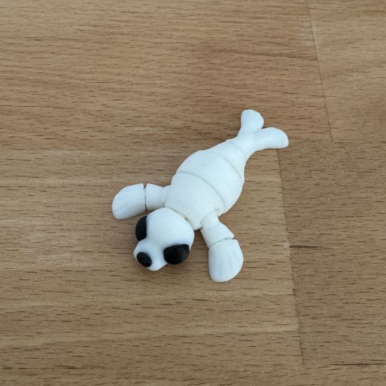 Hareketli Fok Balığı